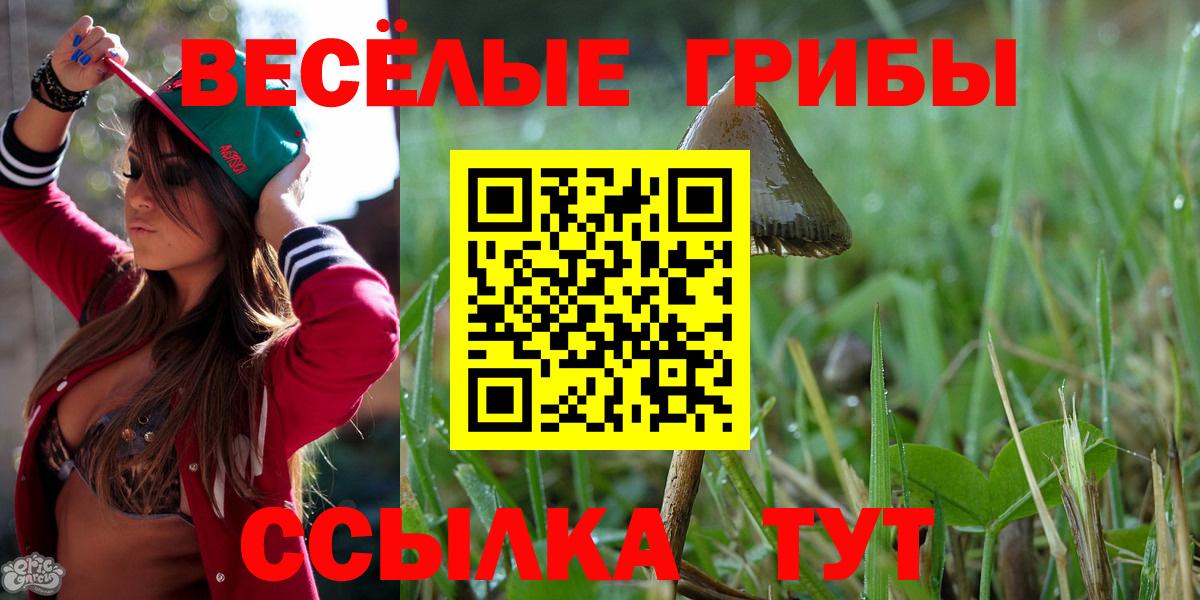 Псилоцибиновые грибы мицелий  Галлюциногенные грибы мицелий  Королёв  Вход с VPN 