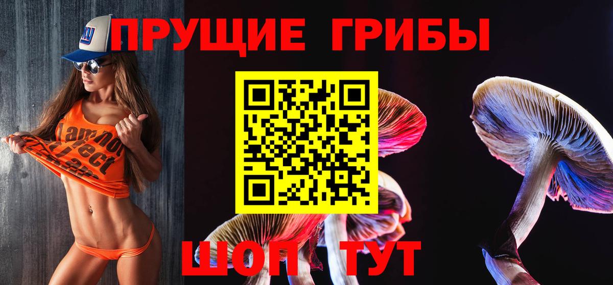 Псилоцибиновые грибы Psilocybe Королёв